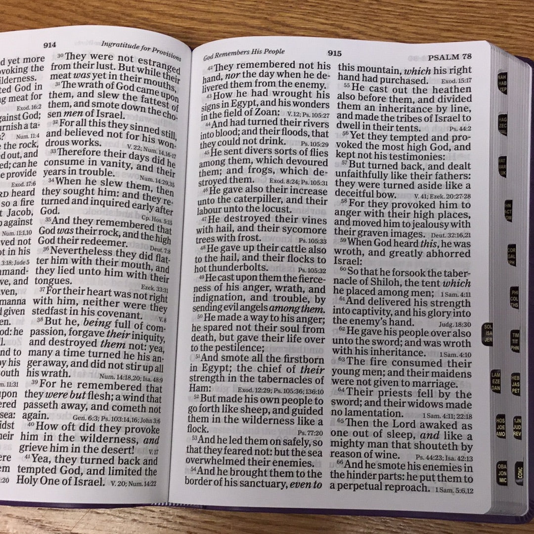 Super Giant Print Bible KJV